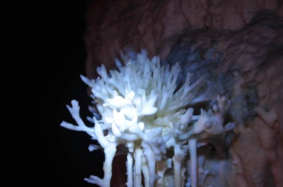 Perfeita flôr de calcita na caverna de São Mateus, no P. E. de Terra Ronca, região de São Domingos - GO